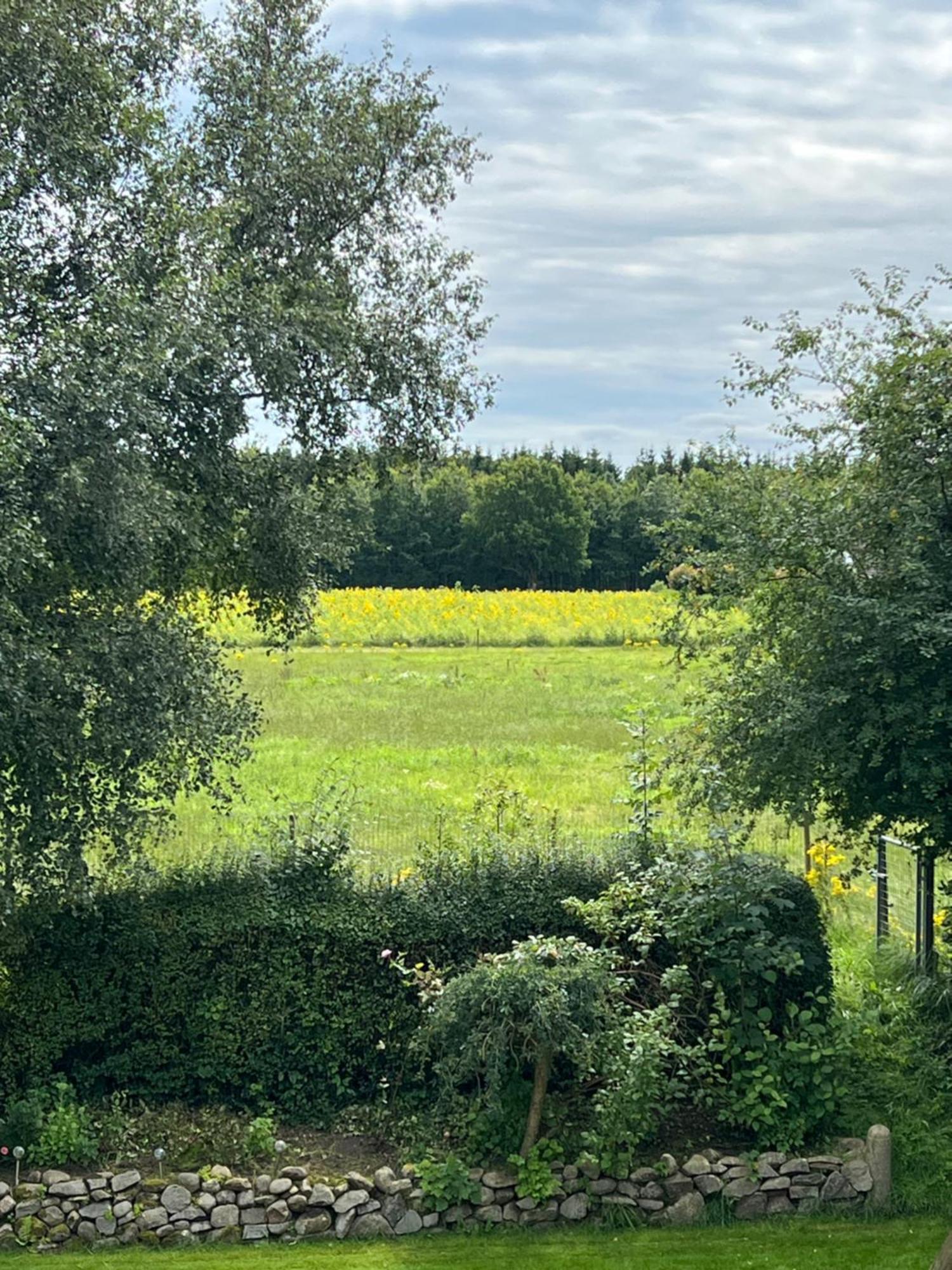 Vejbaek Domus Leilighet Padborg Eksteriør bilde